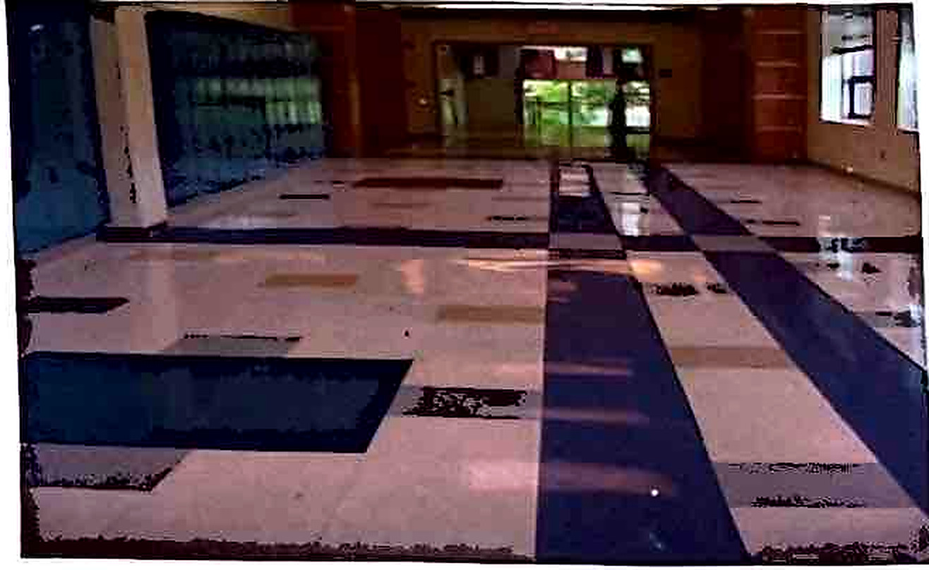Interior with patterned flooring